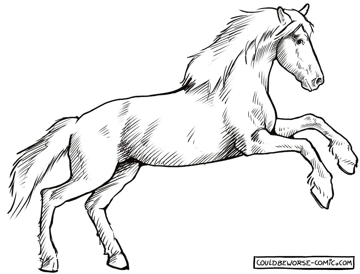 1250x952 Horse Side, Rearing. Line Drawing. Horses Horse