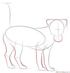 236x247 How To Draw A Jack Russell Terrier Step By Step. Drawing Tutorials