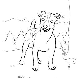 250x250 Jack Russell Terrier Coloring Page Dog Patterns