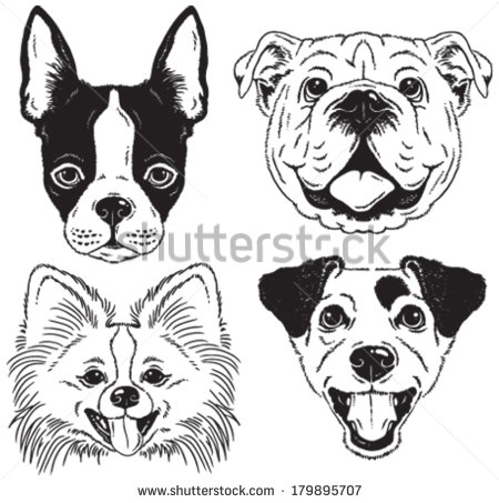 450x453 A Set Of 4 Dog's Faces Boston Terrier, English Bulldog, Toy