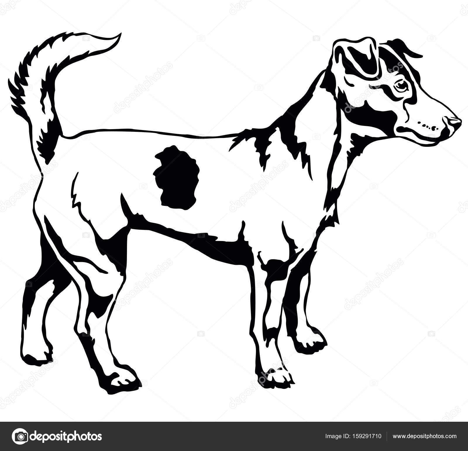 1600x1540 Decorative Standing Portrait Of Dog Jack Russell Terrier Vector
