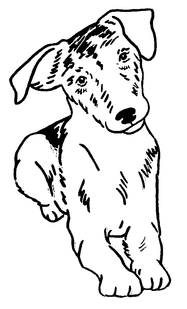 600x989 Order A Personalized Pet Memorial Stone