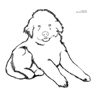 320x320 Tag For Cute Pictures Of Puppies To Color Print Easy Dog