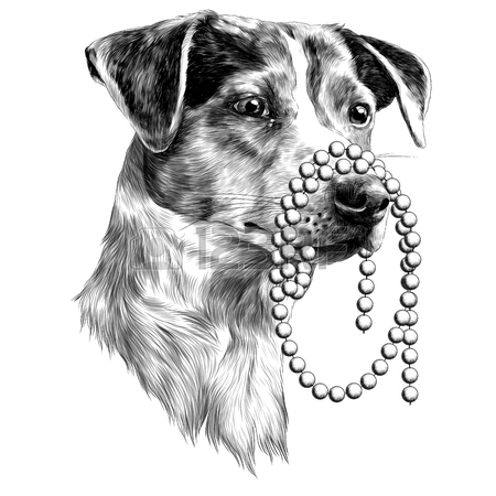 450x450 The Dog With A Beads In My Mouth. Jack Russell Terrier Head Sketch
