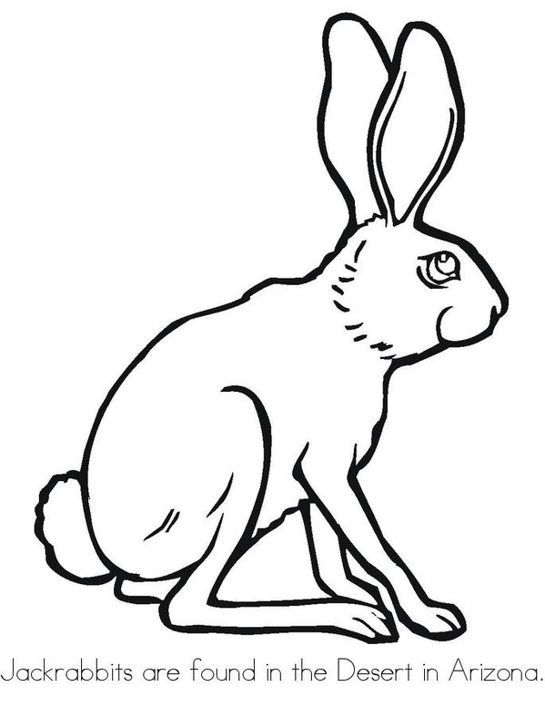 599x776 Biomes In The North America Book