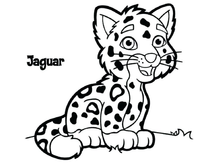 736x552 Rainforest Jaguar Coloring Pages Animal For Kids Coolest On Free