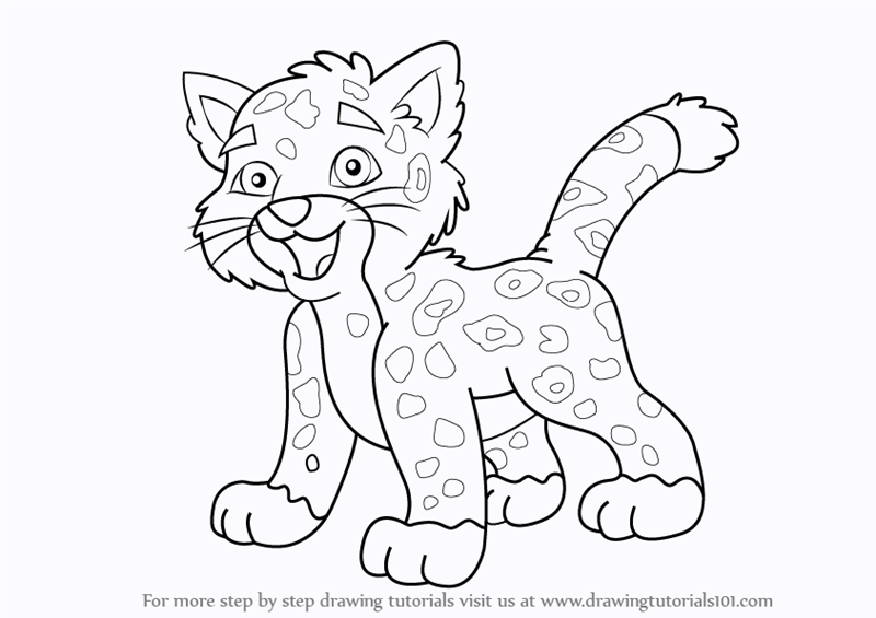 800x565 Step By Step How To Draw Baby Jaguar From Go, Diego, Go