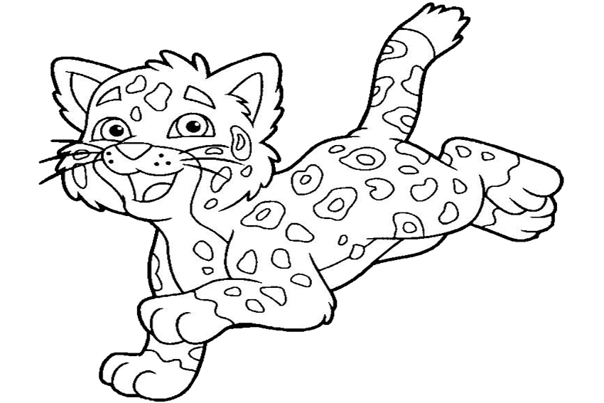 850x567 Jaguar Coloring Pages