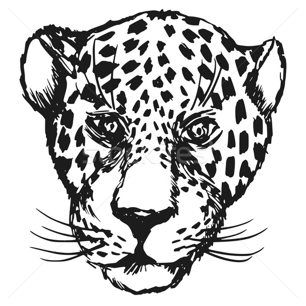 600x600 Jaguar Stock Photos, Stock Images And Vectors Stockfresh