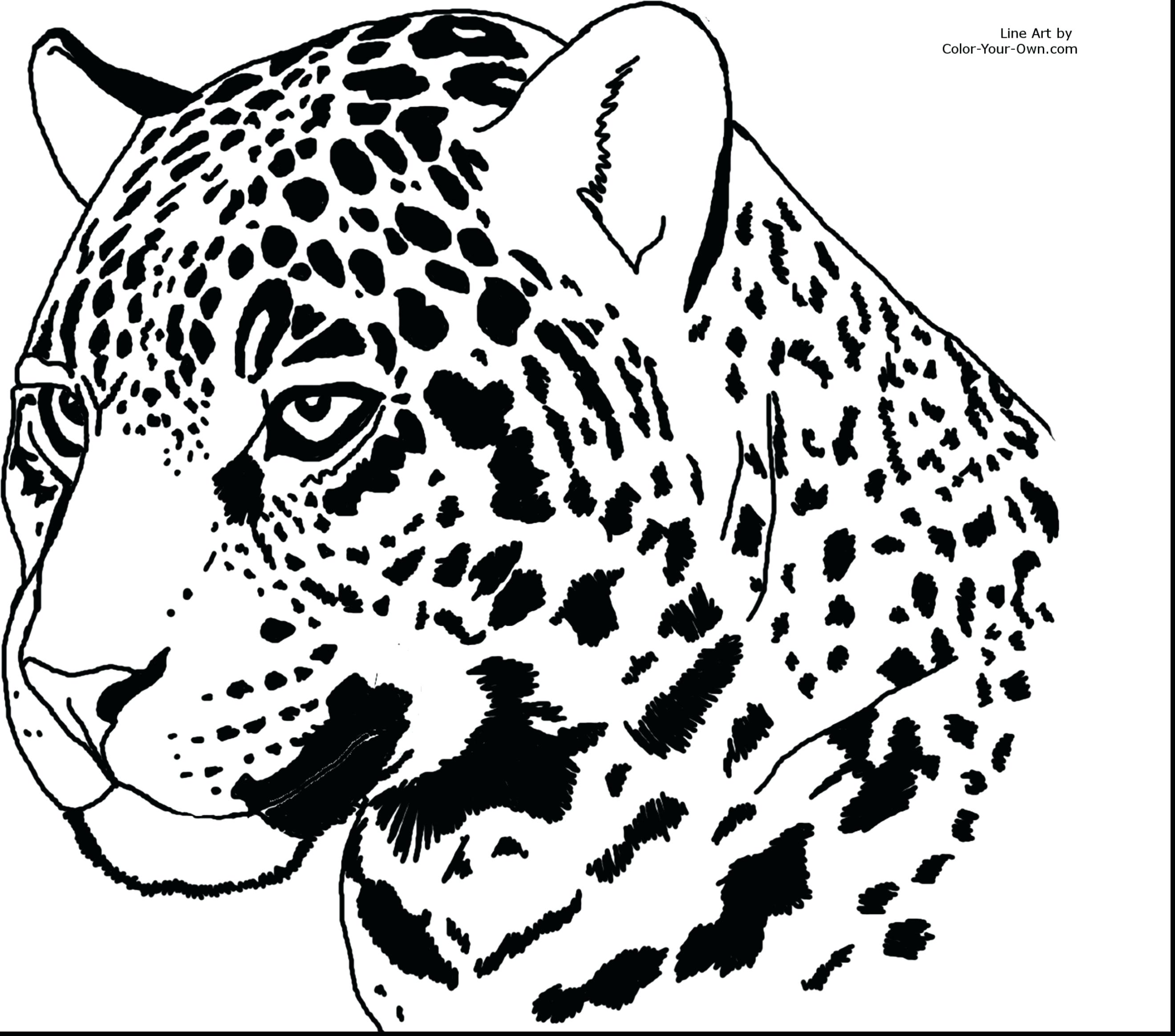 2640x2328 Coloring Cheetah Coloring Page Animal Pages Awesome Outstanding