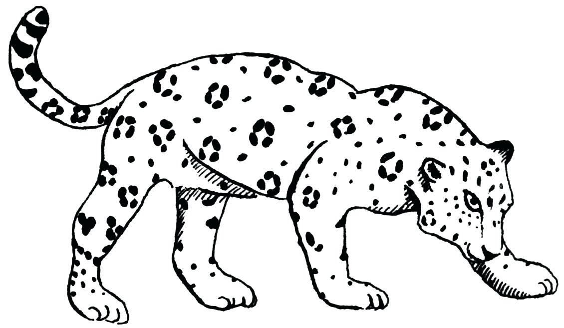 1130x657 Jaguar Coloring Pages
