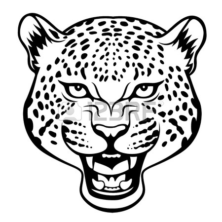 Jaguar Head Drawing at GetDrawings | Free download