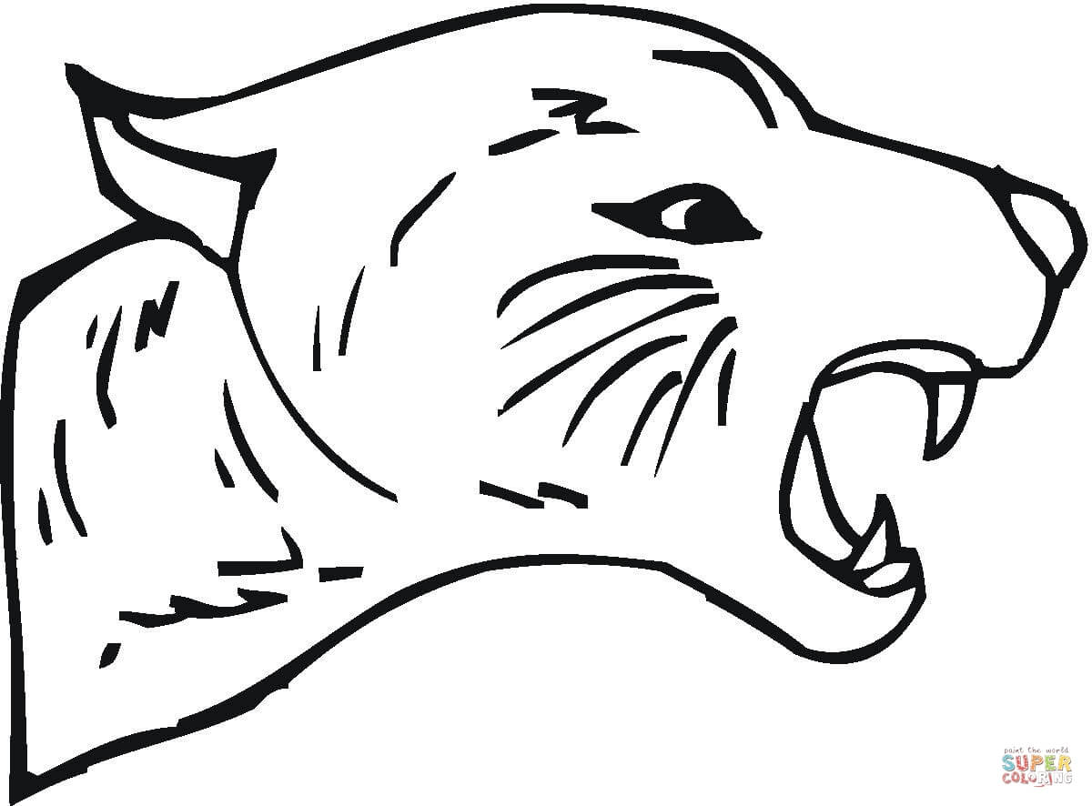 1200x886 Drawn Jaguar Cougar Line