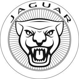 256x256 Jaguar Group Page
