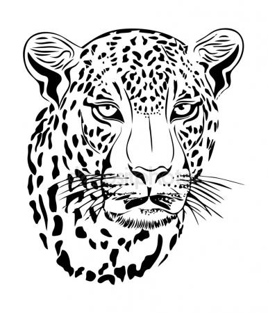 386x450 Jaguar Stock Vectors, Royalty Free Jaguar Illustrations