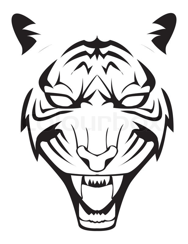 616x800 Tiger Face Stock Vector Colourbox