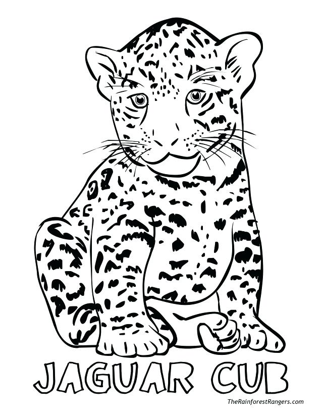 640x828 Baby Jaguar Coloring Pages For Kids Jaguar Coloring Pages Picture