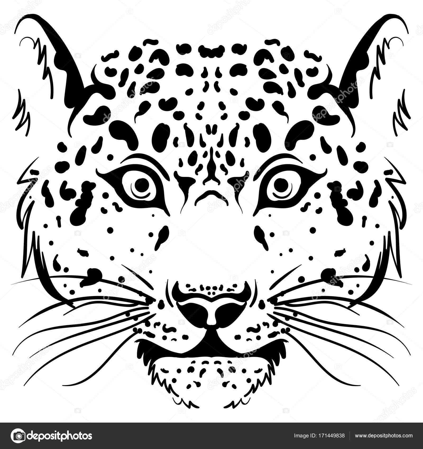 1600x1700 Black And White Vector Sketch Leopard Face Stock Vector