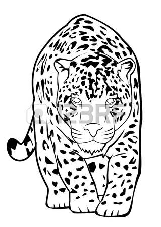 319x450 Drawn Jaguar Black And White