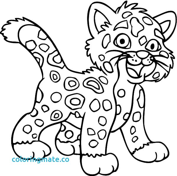 600x598 Jaguar Coloring Pages Awesome Baby Jaguar Coloring Pages
