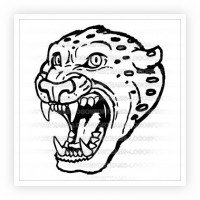 200x200 Search Results