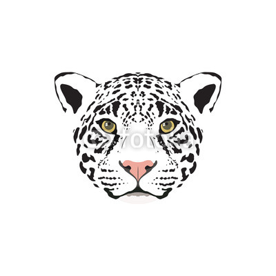 Jaguar Head Drawing at GetDrawings | Free download