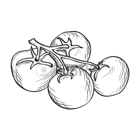 450x450 Artistic Hand Drawn Sketches Of Hot Chili, Habanero And Jalapeno