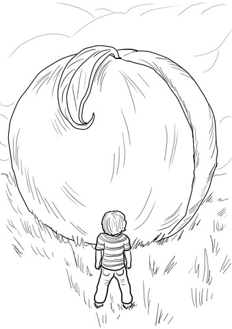339x480 James And The Giant Peach Coloring Page Free Printable Coloring