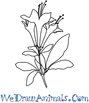 300x350 Japanese Flowers Drawings. Beautiful Orange Flower Tattoo. My