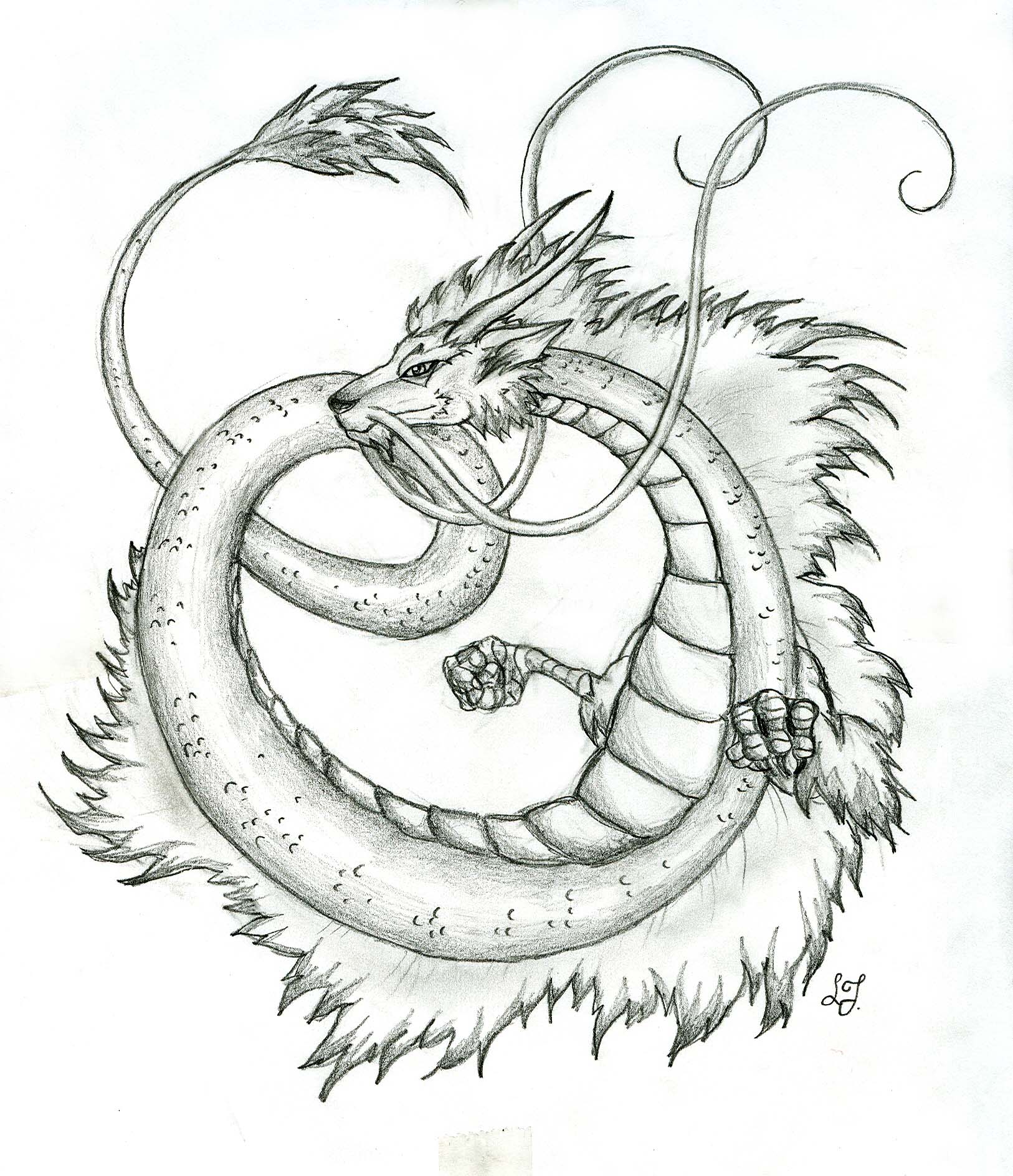 1626x1888 Japanese Dragon By Lizzy23