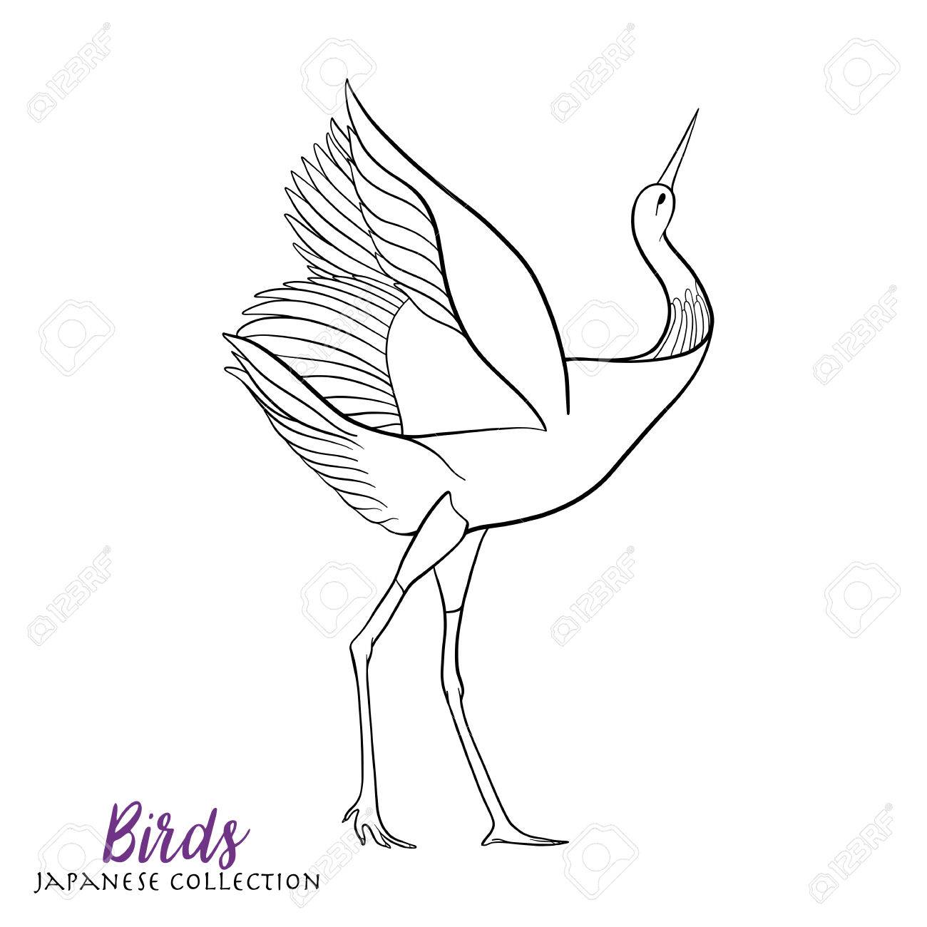 1300x1300 Japanese Crane. Coloring Book For Adult. Outline Drawing Coloring
