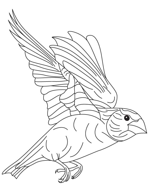 630x810 Japanese Bird Coloring Page Download Free Japanese Bird Coloring