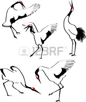 298x350 Dancing Japanese Crane Photo Sunsets Japanese