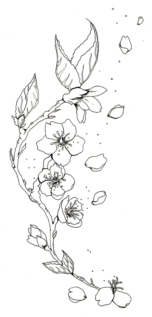 493x1024 Cherry Blossom Tattoo B w I Seem To Have A Lot Of Views