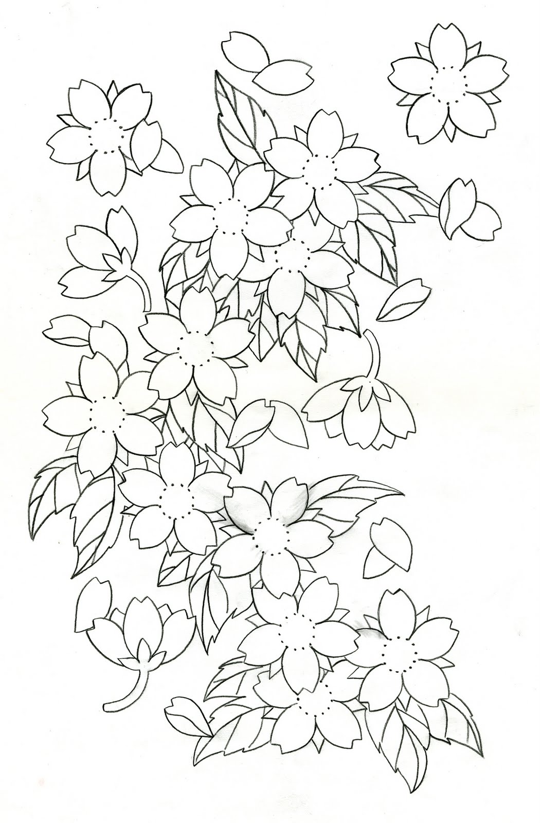1050x1600 Cherry Blossoms. Drawing Flowers Cherry Blossoms