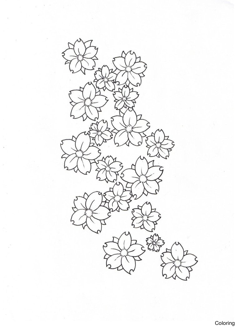 762x1048 Ytkkrlj7c Cherry Blossoms Drawings Coloring Drawing Clipart