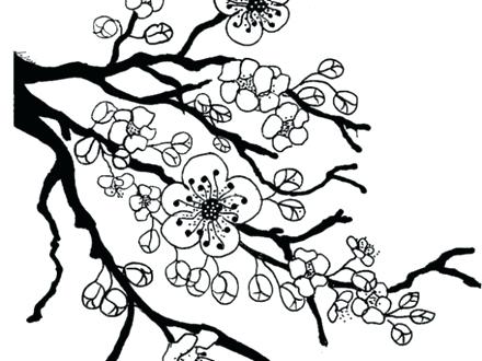 440x330 Cherry Blossom Flower Coloring Page Fun 8 Japan Pages Geisha