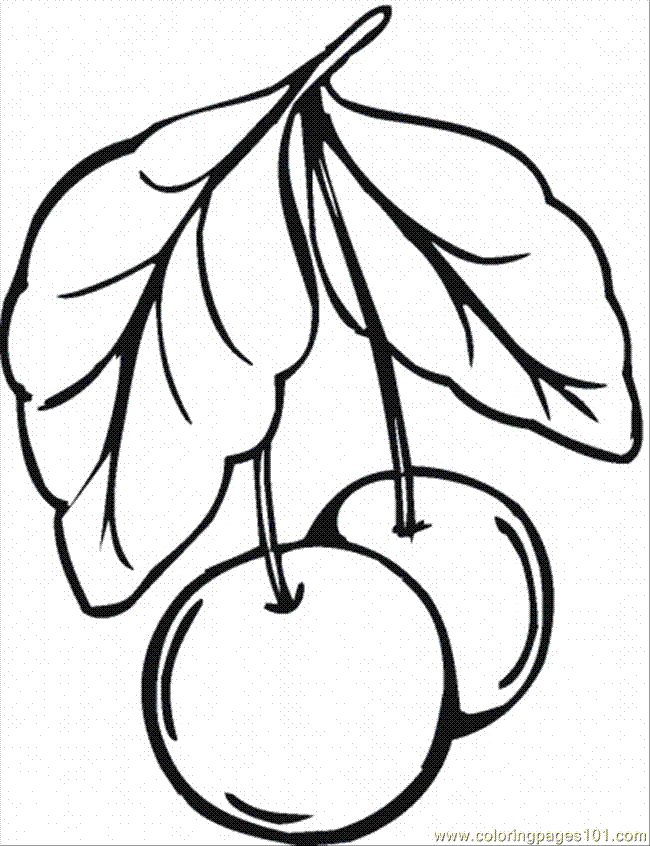 650x846 Cherry Blossom Coloring Pages Many Interesting Cliparts