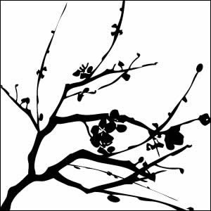 300x300 Cherry Blossom Sketch Black And White