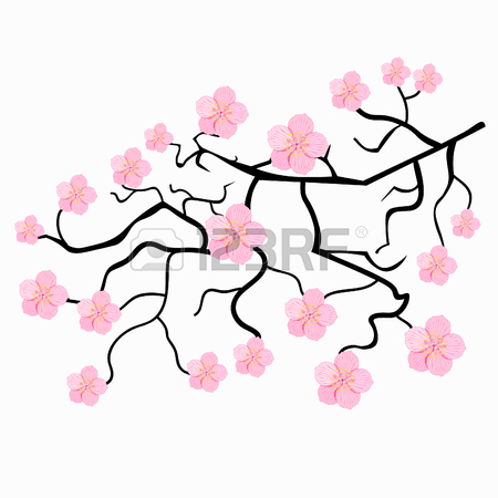 450x450 Branches Of Japanese Cherry Blossoms Vector Illustration Royalty