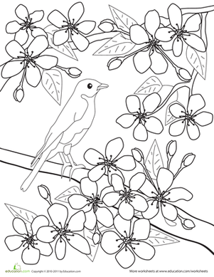 301x389 Color The Flowers Cherry Blossoms Japanese Flowers, Flower