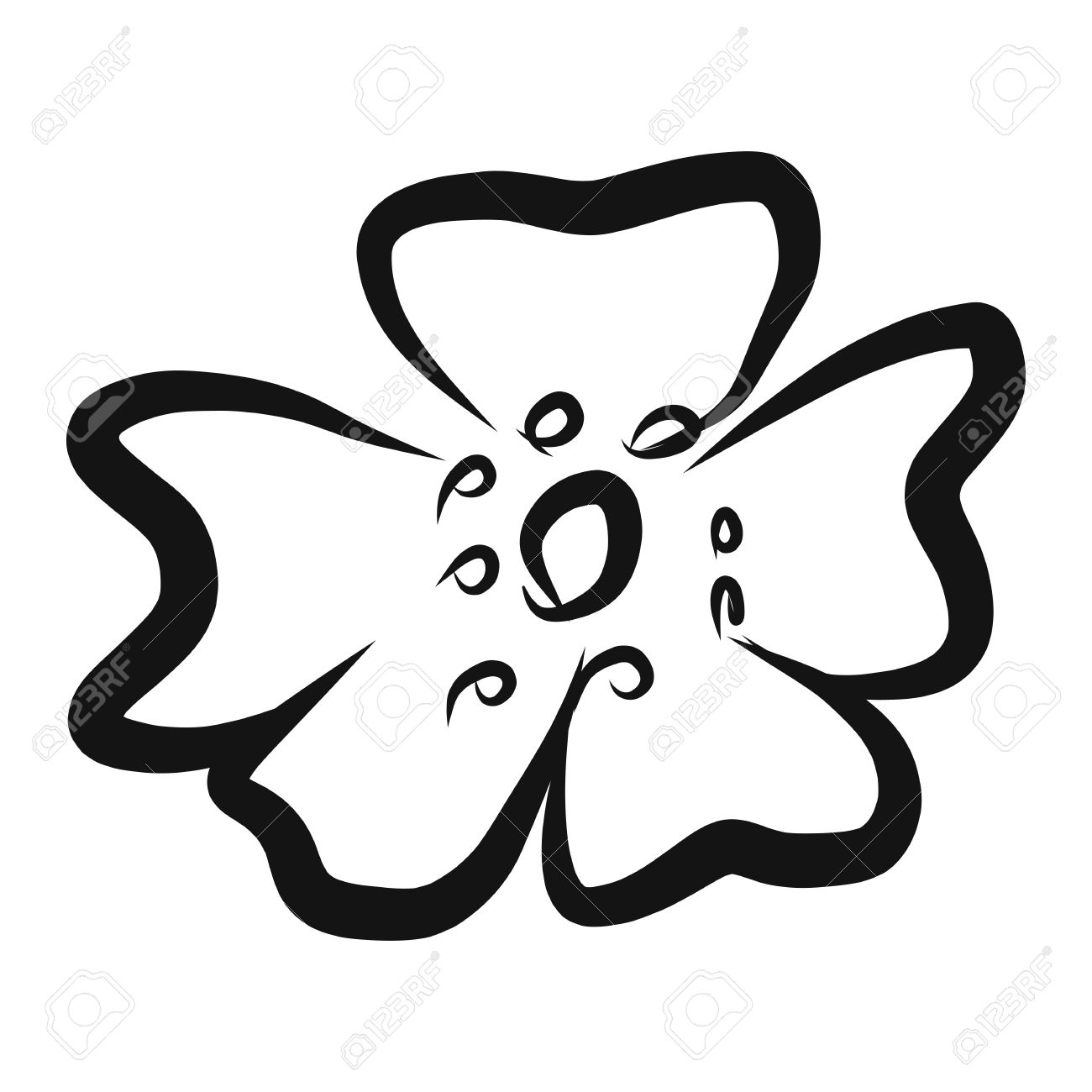 1300x1300 Colorless Cherry Blossom Flower For Coloring Book Illustration