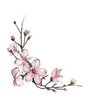 290x335 Image Result For Cherry Blossom Tattoo