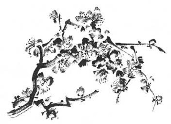 350x255 Cherry Blossom Fabric Thickblackoutline Spoonflower, Cherry