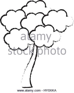 300x376 Drawing Sakura Tree Japan Stock Vector Art Amp Illustration, Vector