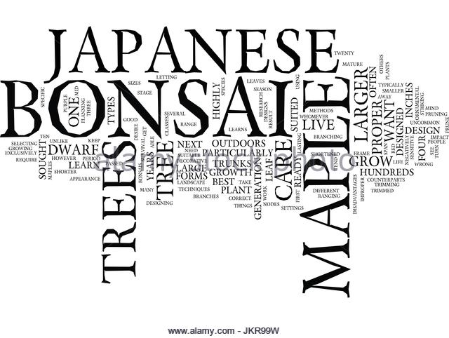 640x482 Japanese Maple Trees Stock Vector Images