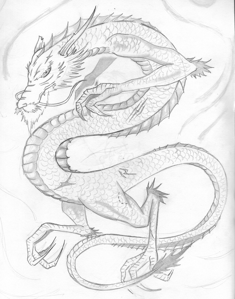 800x1015 Japanese Dragon 01