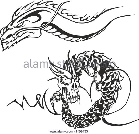 560x540 Tattoo Dragons Stock Photos Amp Tattoo Dragons Stock Images
