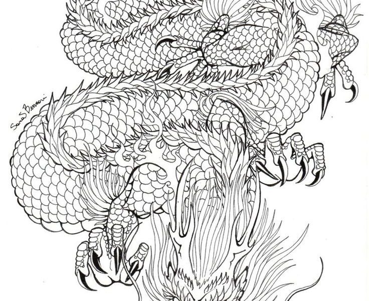 736x600 Download Dragon Tattoo Drawing