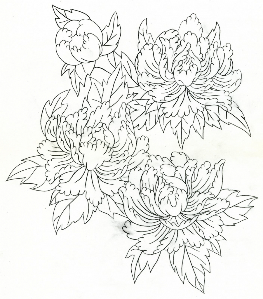 The best free Flower drawing images. Download from 23061 free drawings ...